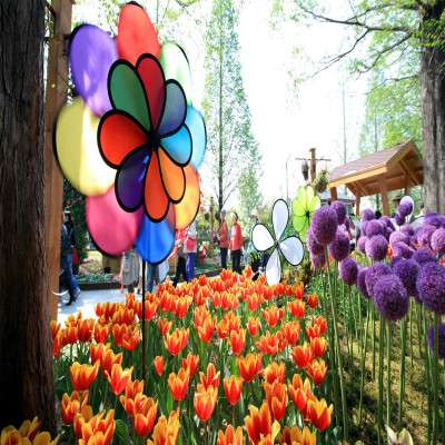 International Flower Festival Sightseeing